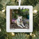 Search for holiday pet memorial ornaments In loving memory