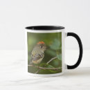 Search for habitat mugs Nature