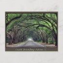 Search for boundary postcards Tree