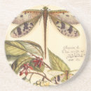 Search for dragonfly coasters Cream