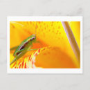 Search for abstract eye postcards Green