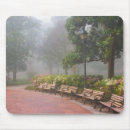 Search for joanne electronics Fog