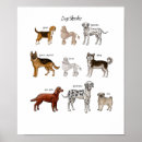 Search for beagle posters Pug