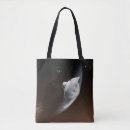 Search for capsule bags Science