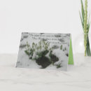 Search for thoughtful cards Meditation