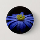 Search for gerberas badges Flower