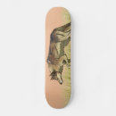 Search for hunt skateboards Pink