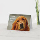 Search for dog surgery get well cards Golden retriever