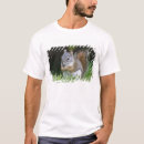 Search for ditto tshirts Nobody