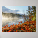 Search for northwoods posters Forest