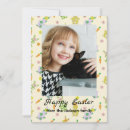 Search for bunny easter cards Pattern