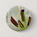 Search for orient badges Flower