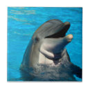 Search for bottlenosed dolphin tiles Wildlife