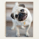 Search for dog planners Pug
