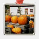 Search for harvest christmas tree decorations Fall