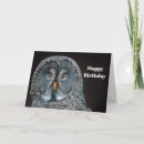 Search for strix Great grey owl