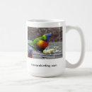 Search for rainbow lorikeet Australia