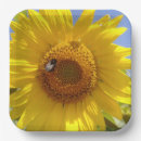 Search for sunflower paper plates Cheerful