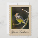 Search for cedars invitations Cedar waxwing