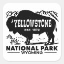 Search for vintage yellowstone stickers Buffalo