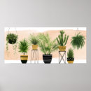 Search for oasis posters Greenery