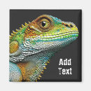 Search for lizards magnets Iguana