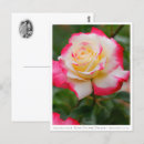 Search for delight postcards Flower