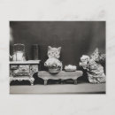Search for cleans postcards Kittens