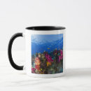 Search for shallow mugs Environment