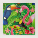 Search for nature puzzles Birds