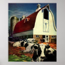 Search for holstein dairy cow posters Cows