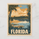 Search for florida postcards Swamp