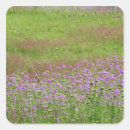 Search for jones stickers South carolina