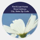 Search for business address stickers White