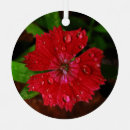 Search for drop christmas tree decorations Red