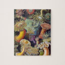 Search for ernst haeckel puzzles Vintage