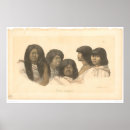 Search for native peoples posters History