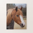 Search for arabian horse puzzles Equine