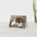Search for mum to be note cards Animals