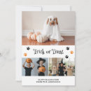 Search for pet halloween cards Cute