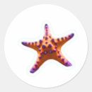 Search for ocean life stickers Starfish