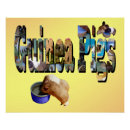 Search for guinea pig posters Pet