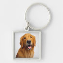Search for golden retriever key rings Puppy