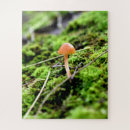 Search for lichens Mushroom
