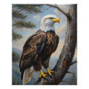 Search for perched art Nature
