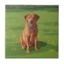 Search for labrador tiles Yellow lab