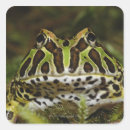 Search for selective stickers Close up