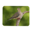 Search for depth of field magnets Nature