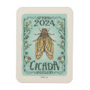 Search for invasion magnets Cicada