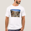 Search for grand canyon tshirts United states